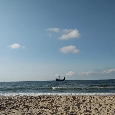 In Near And Whale Park *